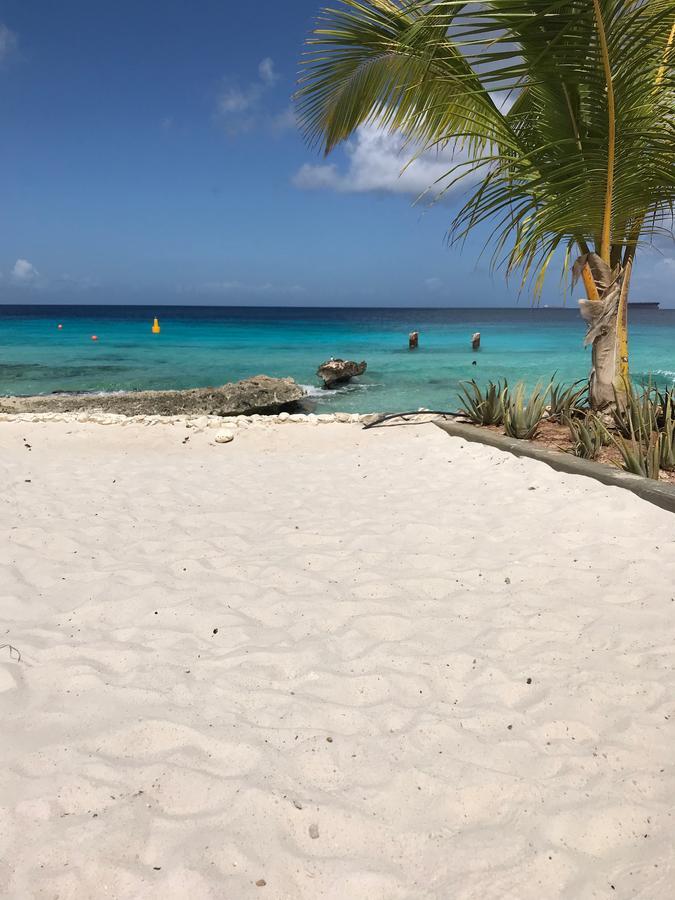 Bonaire Boutique Resort Playa Exterior photo