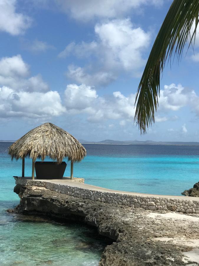 Bonaire Boutique Resort Playa Exterior photo